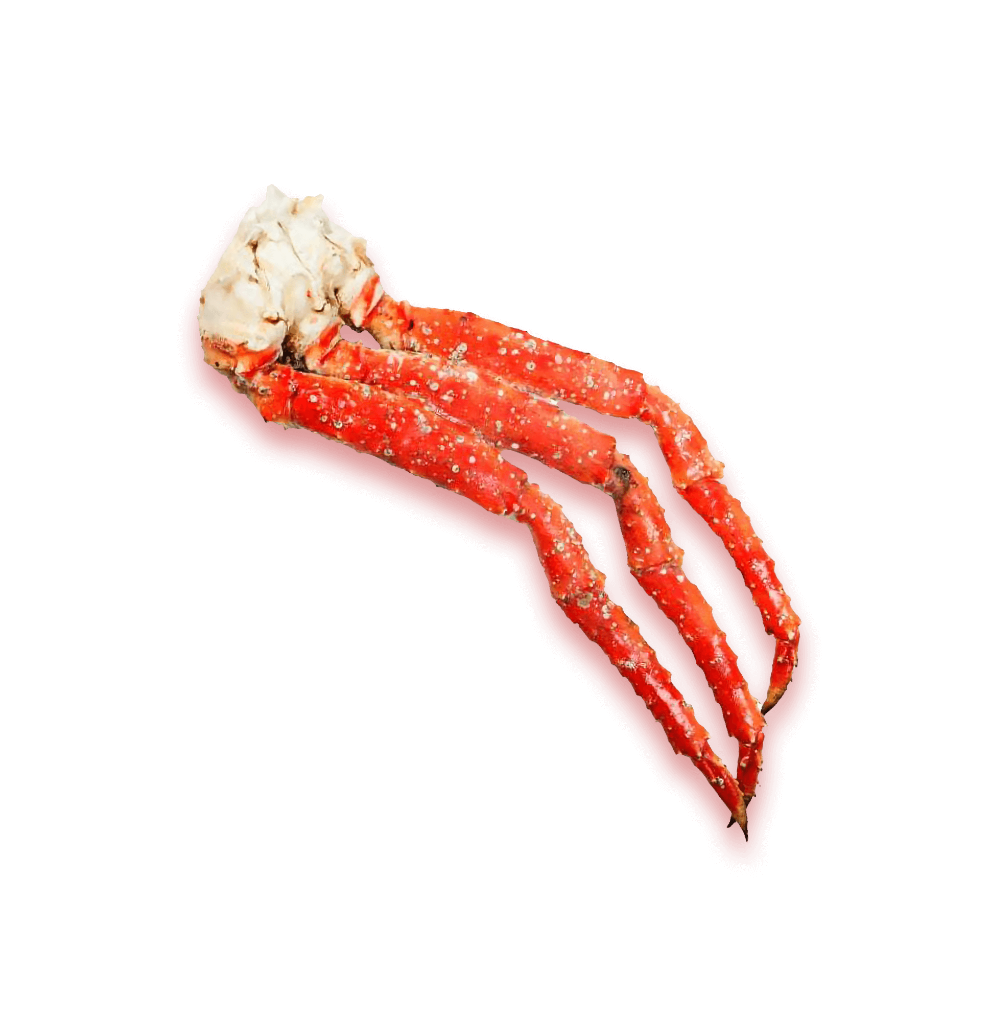 Фоновые лапы краба